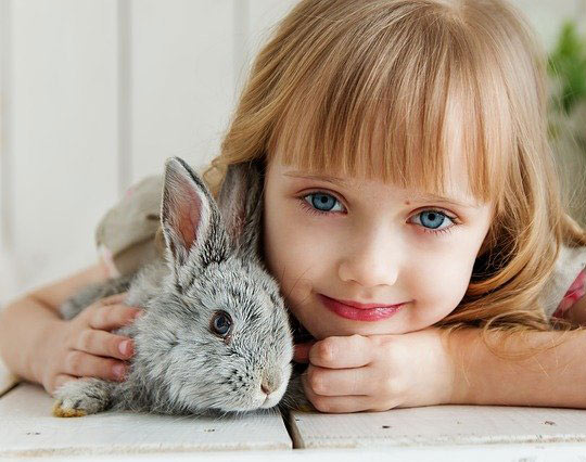 Consejos para el cuidado de los conejos
